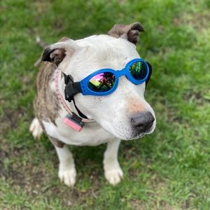 Meet your Posher, Anthony, laura